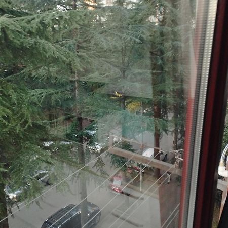 Apartment Ge Zvezda Μπατούμι Εξωτερικό φωτογραφία